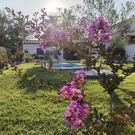Maison En Campagne 亞維農 外观 照片